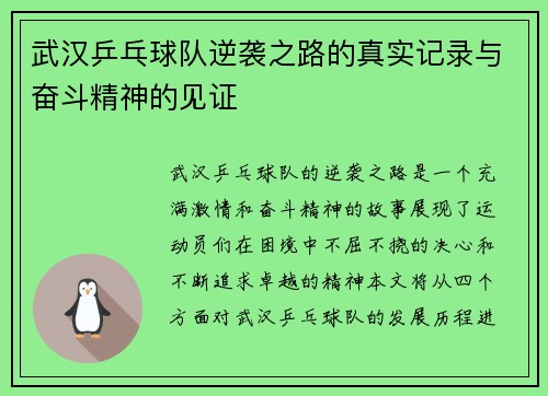 武汉乒乓球队逆袭之路的真实记录与奋斗精神的见证