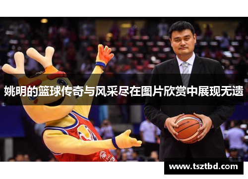 姚明的篮球传奇与风采尽在图片欣赏中展现无遗